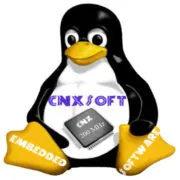 cnx-software.com