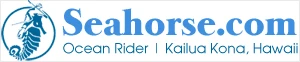 seahorse.com