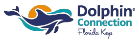 dolphinconnection.com