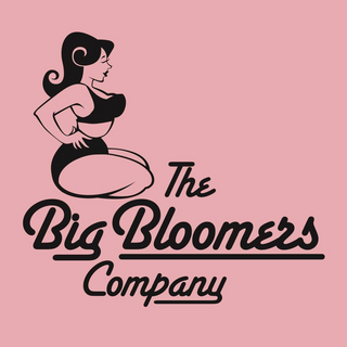 thebigbloomerscompany.co.uk
