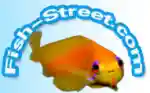 fish-street.com